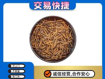 丽江礼品回收虫草.jpg